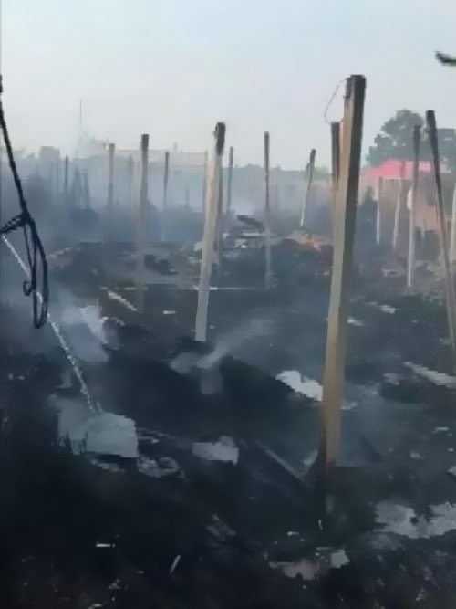 ������Ȼ�@����������ԭ����������